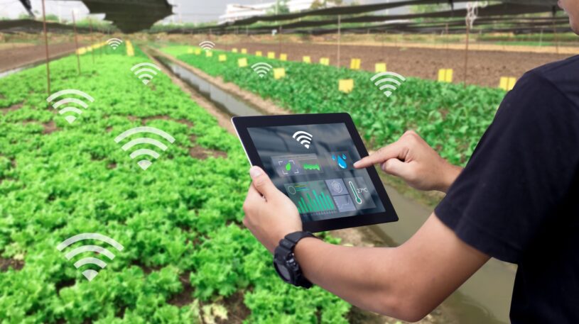 IoT (Internet of Things) - farming industry