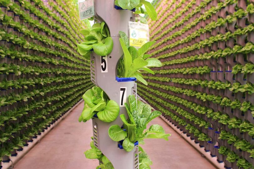 Water Efficiency - vertical farming